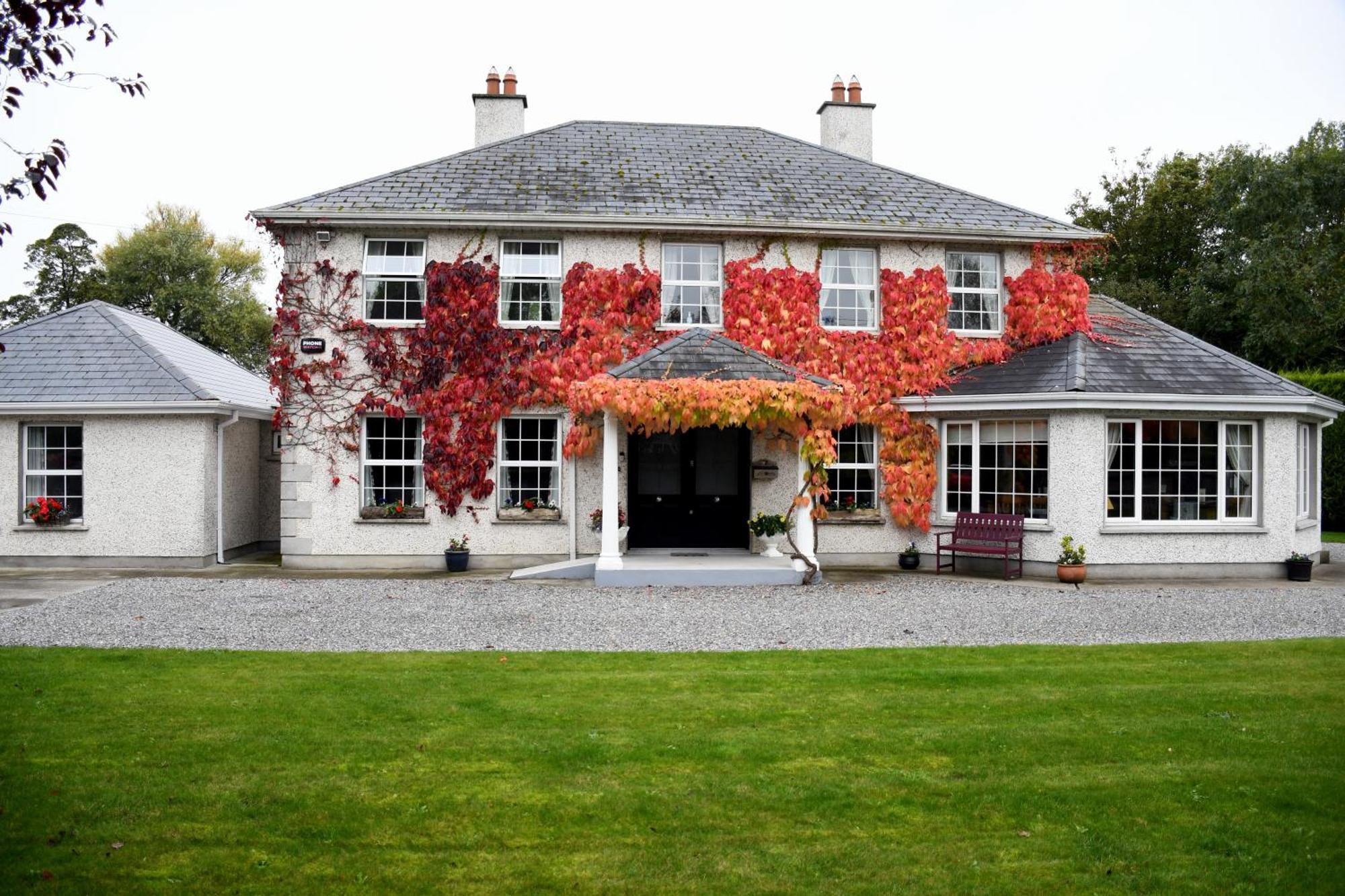 Bed and Breakfast Orchard Grove Bagenalstown Exterior foto