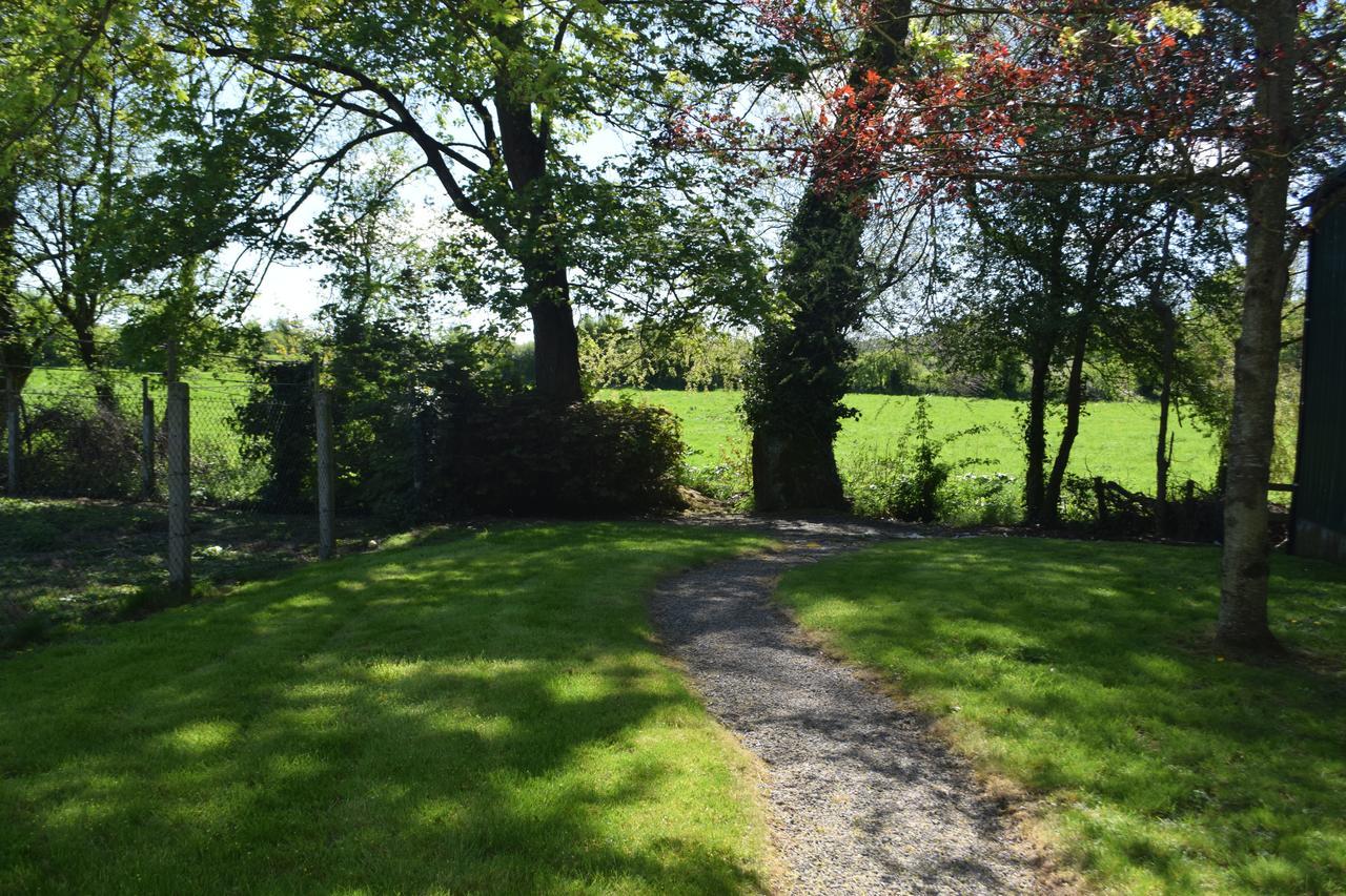 Bed and Breakfast Orchard Grove Bagenalstown Exterior foto
